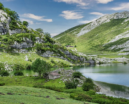 Что представляет собой текст-рыба